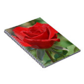 VS, Kansas, Red Rose Notitieboek (Rechterzijde)