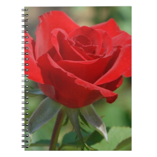 VS, Kansas, Red Rose Notitieboek (Voorkant)