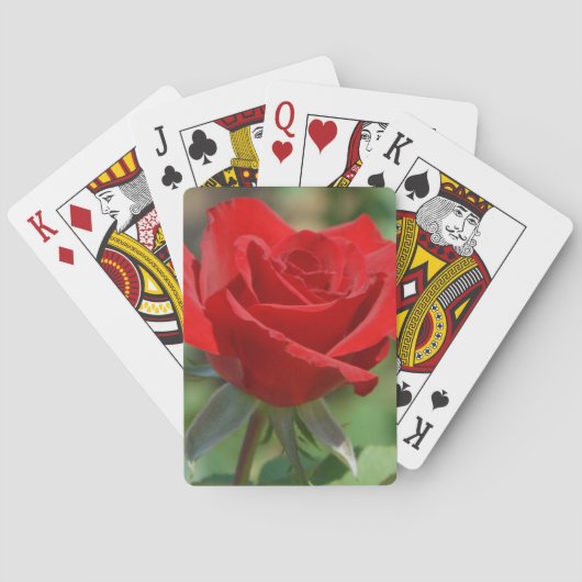 VS, Kansas, Red Rose Pokerkaarten (Achterkant)