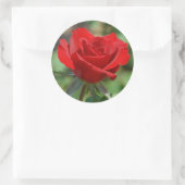 VS, Kansas, Red Rose Ronde Sticker (Tas)