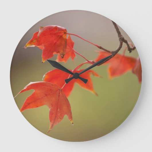 VS, Kansas, Rode Bladeren In Vroege Herfst Grote Klok (Voorkant)