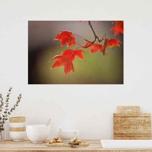 VS, Kansas, rode bladeren in vroege Herfst Poster (Keuken)