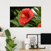 VS, Kansas, Rode Hibiscus Poster (Thuiskantoor)