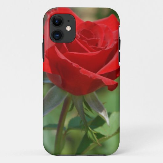 VS, Kansas, Rode Roos Case-Mate iPhone Case (Achterkant)
