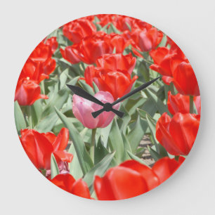 VS, Kansas, rode tulpen met één roze tulp Grote Klok