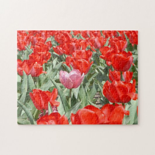 VS, Kansas, Rode Tulpen Met Eén Roze Tulp Legpuzzel (Horizontaal)
