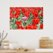 VS, Kansas, Rode Tulpen Met Eén Roze Tulp Poster (Keuken)