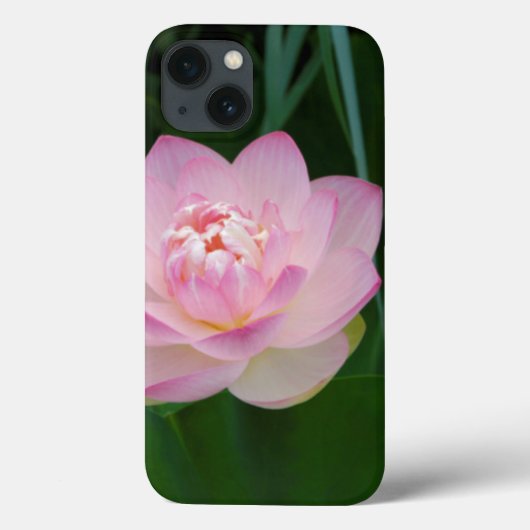 VS, Kansas, Roze Waterlelie Case-Mate iPhone Case (Achterkant)