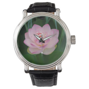 VS, Kansas, Roze Waterlelie Horloge