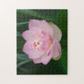 VS, Kansas, Roze Waterlelie Legpuzzel (Verticaal)