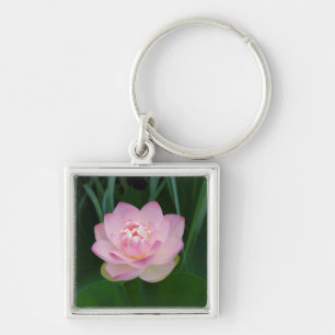 VS, Kansas, Roze Waterlelie Sleutelhanger