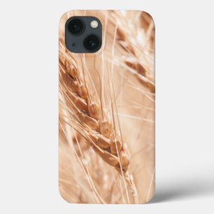 VS, Kansas, Tarwe op oogsttijd iPhone 13 Hoesje