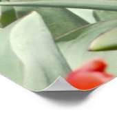 VS, Kansas. Veld met tulpen Poster (Hoek)