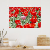 VS, Kansas. Veld met tulpen Poster (Keuken)
