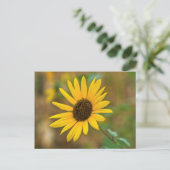 VS, Kansas. Wilde Zonnebloem Briefkaart (Staand voorkant)