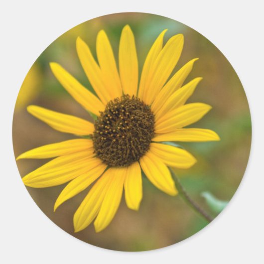 VS, Kansas. Wilde Zonnebloem Ronde Sticker (Voorkant)