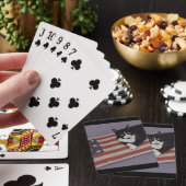 VS Kat Pokerkaarten (Insitu)