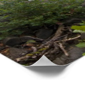 VS - Kentucky. Cumberland-Herfsten op de Poster (Hoek)