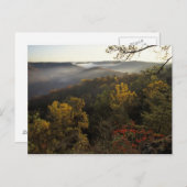 VS, Kentucky. Daniel Boone National Forest. Briefkaart (Voorkant / Achterkant)