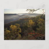 VS, Kentucky. Daniel Boone National Forest. Briefkaart (Voorkant)