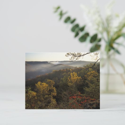 VS, Kentucky. Daniel Boone National Forest. Briefkaart (Staand voorkant)