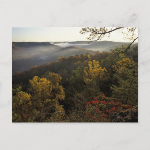 VS, Kentucky. Daniel Boone National Forest. Briefkaart