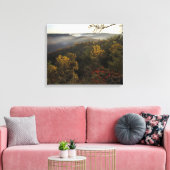 VS, Kentucky. Daniel Boone National Forest. Canvas Afdruk (Insitu (Woonkamer))