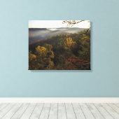 VS, Kentucky. Daniel Boone National Forest. Canvas Afdruk (Insitu (Houten vloer))