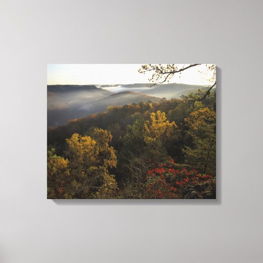 VS, Kentucky. Daniel Boone National Forest. Canvas Afdruk (Voorkant)