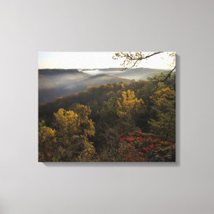 VS, Kentucky. Daniel Boone National Forest. Canvas Afdruk