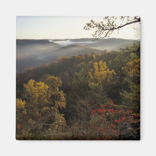 VS, Kentucky. Daniel Boone National Forest. Magneet (Voorkant)