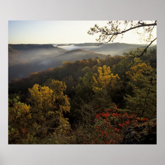 VS, Kentucky. Daniel Boone National Forest. Poster (Voorkant)