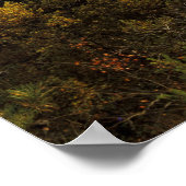 VS, Kentucky. Daniel Boone National Forest. Poster (Hoek)