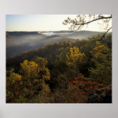 VS, Kentucky. Daniel Boone National Forest. Poster (Voorkant)