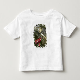 VS, Kentucky, Fort Knox: Patton Museum of Kinder Shirts