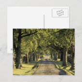 VS, Kentucky, Lexington. met bomen beklede rijbaan Briefkaart (Voorkant / Achterkant)