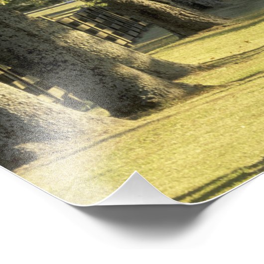 VS, Kentucky, Lexington. met bomen beklede rijbaan Foto Afdruk (Hoek)