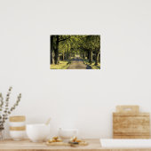 VS, Kentucky, Lexington. met bomen beklede rijbaan Poster (Keuken)