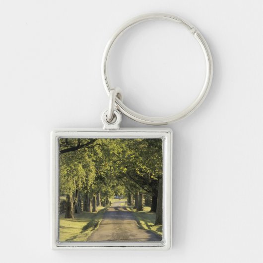 VS, Kentucky, Lexington. Met bomen omzoomde oprit, Sleutelhanger (Voorkant)