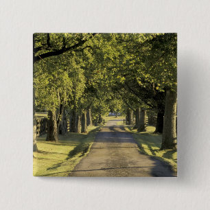VS, Kentucky, Lexington. Met bomen omzoomde oprit, Vierkante Button 5,1 Cm