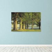VS, Kentucky, Lexington. Rij bomen en Canvas Afdruk (Insitu (Houten vloer))