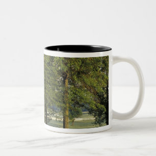 VS, Kentucky, Lexington. Rij bomen en Tweekleurige Koffiemok