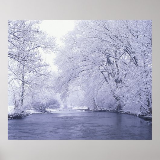 VS, Kentucky, Louisville. Besneeuwd Poster (Voorkant)
