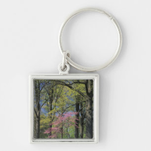 VS, Kentucky, Louisville. Oosterse Judasboom Sleutelhanger