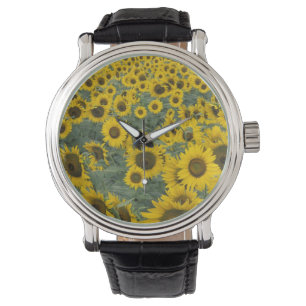 VS, Kentucky-patroon in veld met bebouwde gewassen Horloge