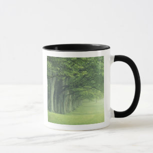 VS, Kentucky. Rij bomen in de lente Mok