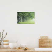 VS, Kentucky. Rij bomen in de lente Poster (Keuken)