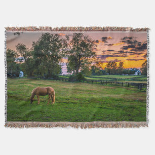 VS, Lexington, Kentucky. Een enkel paard bij zonso Deken