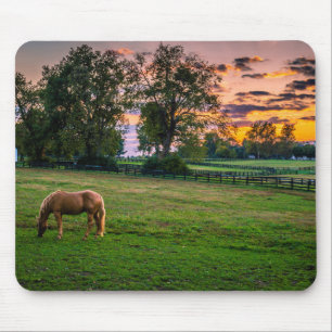 VS, Lexington, Kentucky. Eenzaam paard bij zonsond Muismat