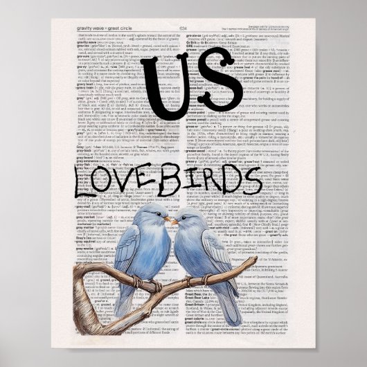 VS —— LOVEBIRDS  POSTER (Voorkant)